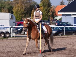 IMG_7172_web